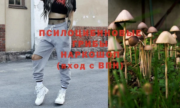 мяу мяу мука Белоозёрский
