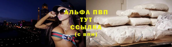 твердый Тобольск