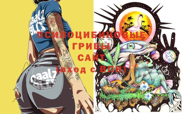 ешки Тихвин