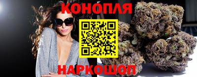 гидра Заволжье