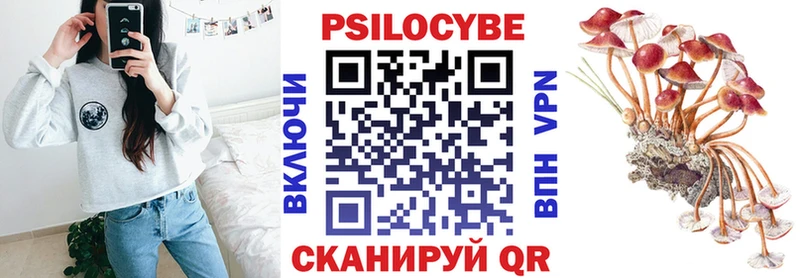 как найти закладки  Верхняя Пышма  Псилоцибиновые грибы мухоморы 