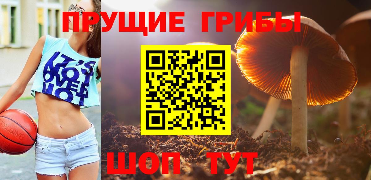 Галлюциногенные грибы Magic Shrooms  Вход с VPN  Верхняя Пышма  Галлюциногенные грибы Cubensis 