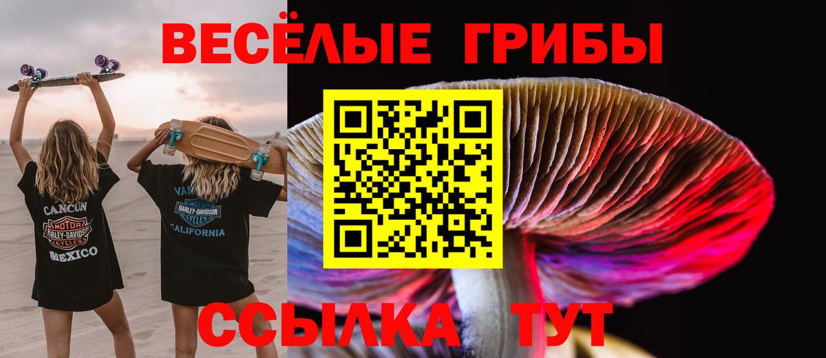 Псилоцибиновые грибы MAGIC MUSHROOMS Верхняя Пышма